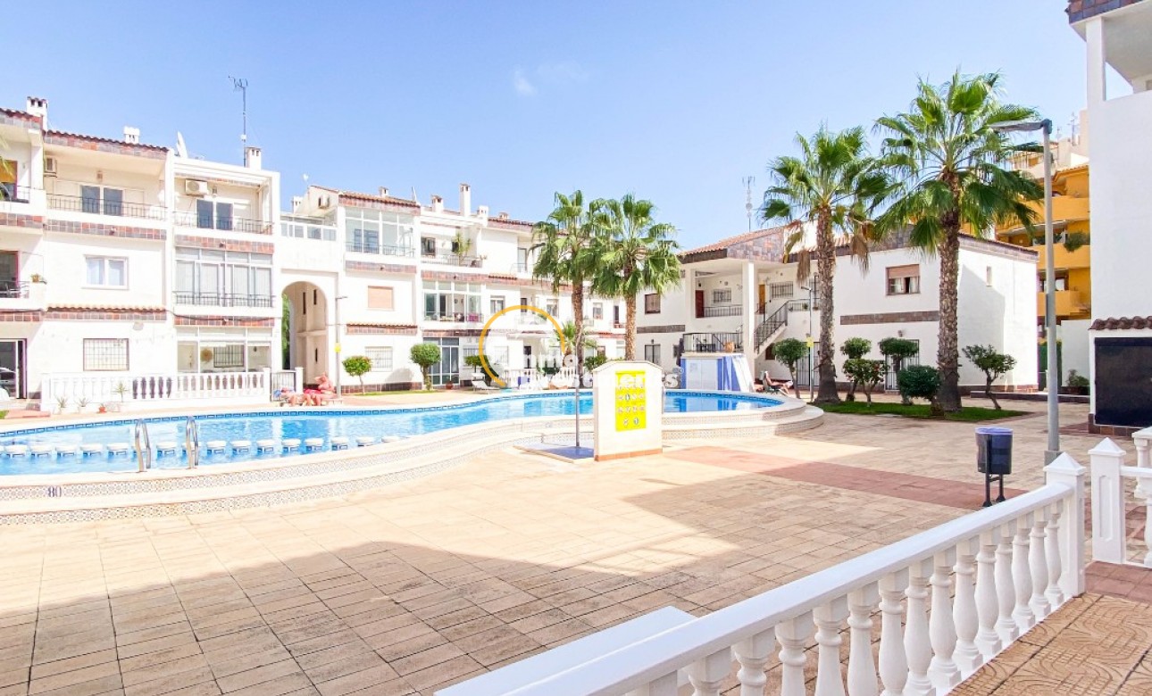  Korttidsuthyrning - Lägenhet - Punta Prima - Cala Dorada