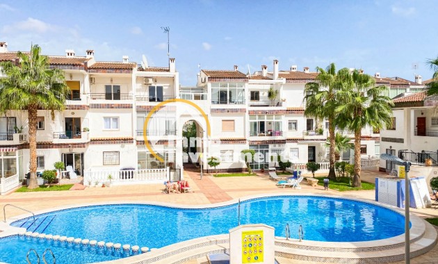  Korttidsuthyrning - Lägenhet - Punta Prima - Cala Dorada