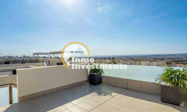 Obra nueva - Chalet independiente - Rojales