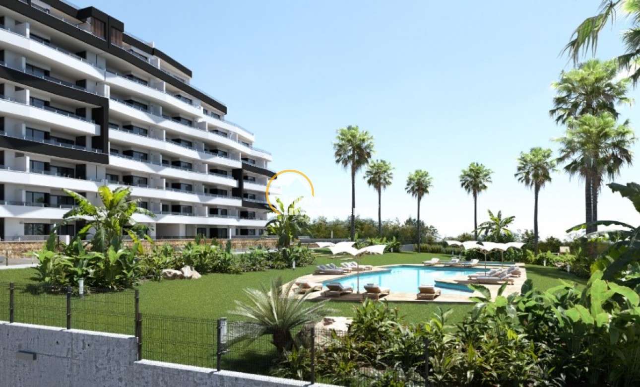 New build - Apartment - San Miguel de Salinas - San Miguel