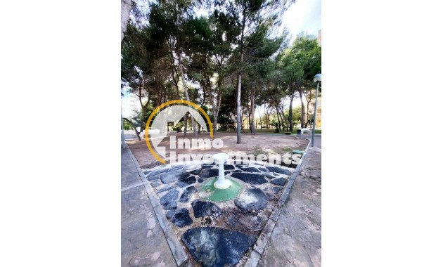 Resale - Apartment - Campoamor - Dehesa De Campoamor