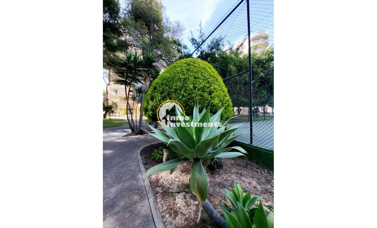 Resale - Apartment - Campoamor - Dehesa De Campoamor