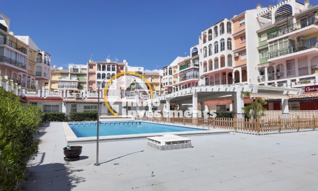 Gebrauchtimmobilien - Apartment - Torrevieja - La Veleta