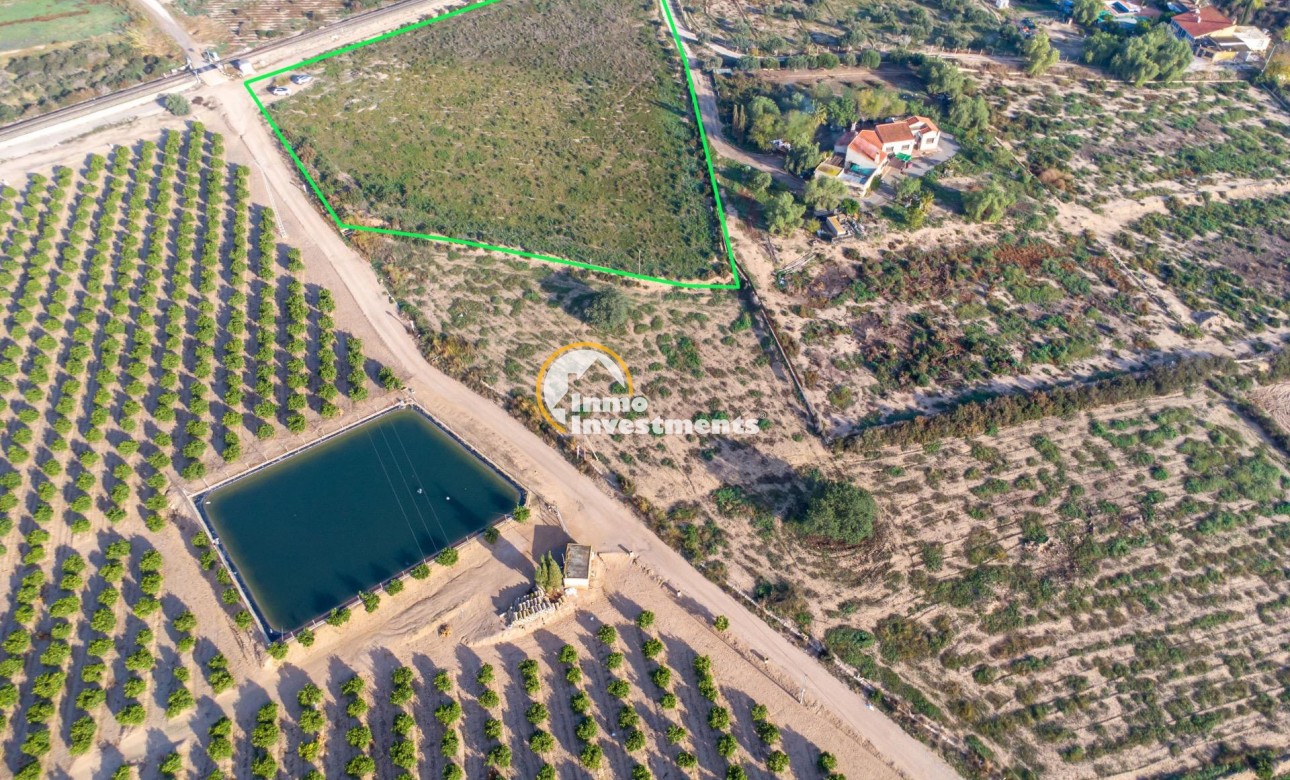 Gebrauchtimmobilien - Finca - Crevillent - Comunidad valenciana