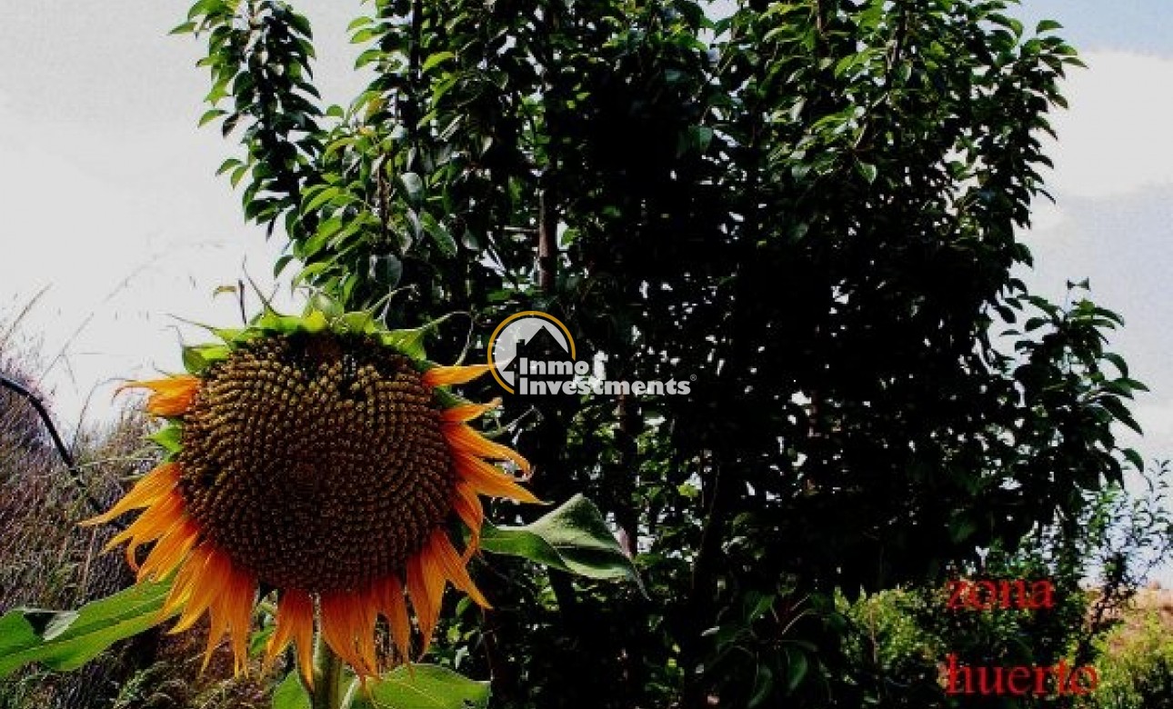 Reventa - Chalet independiente - Gea y Truyols - Gea Y Truyols