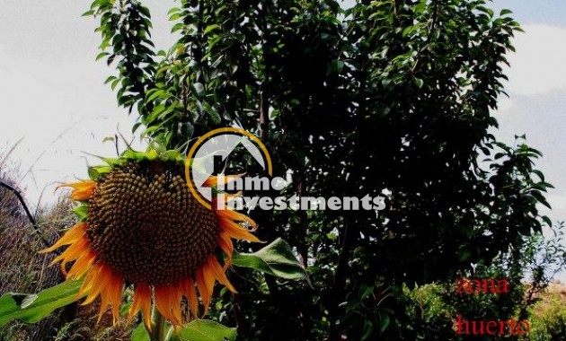 Reventa - Chalet independiente - Gea y Truyols - Gea Y Truyols