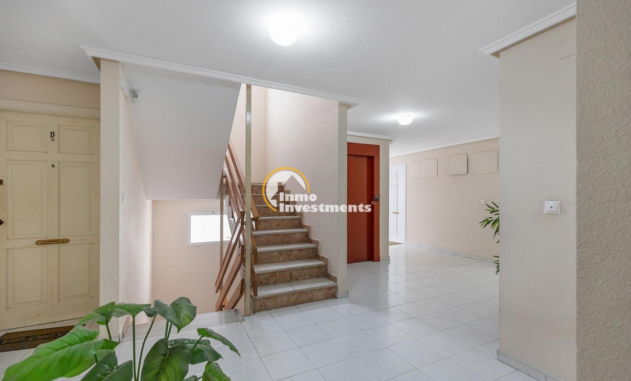 Gebrauchtimmobilien - Apartment - Torrevieja - Estacion de autobuses