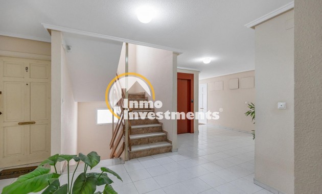 Gebrauchtimmobilien - Apartment - Torrevieja - Estacion de autobuses