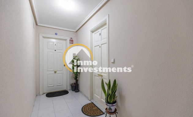 Gebrauchtimmobilien - Apartment - Torrevieja - Estacion de autobuses