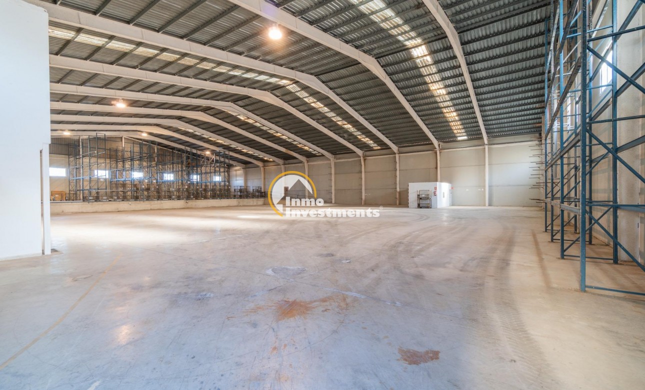 Long term rental - Commercial - Pilar de la Horadada - Polígono industrial Cañada de Práez