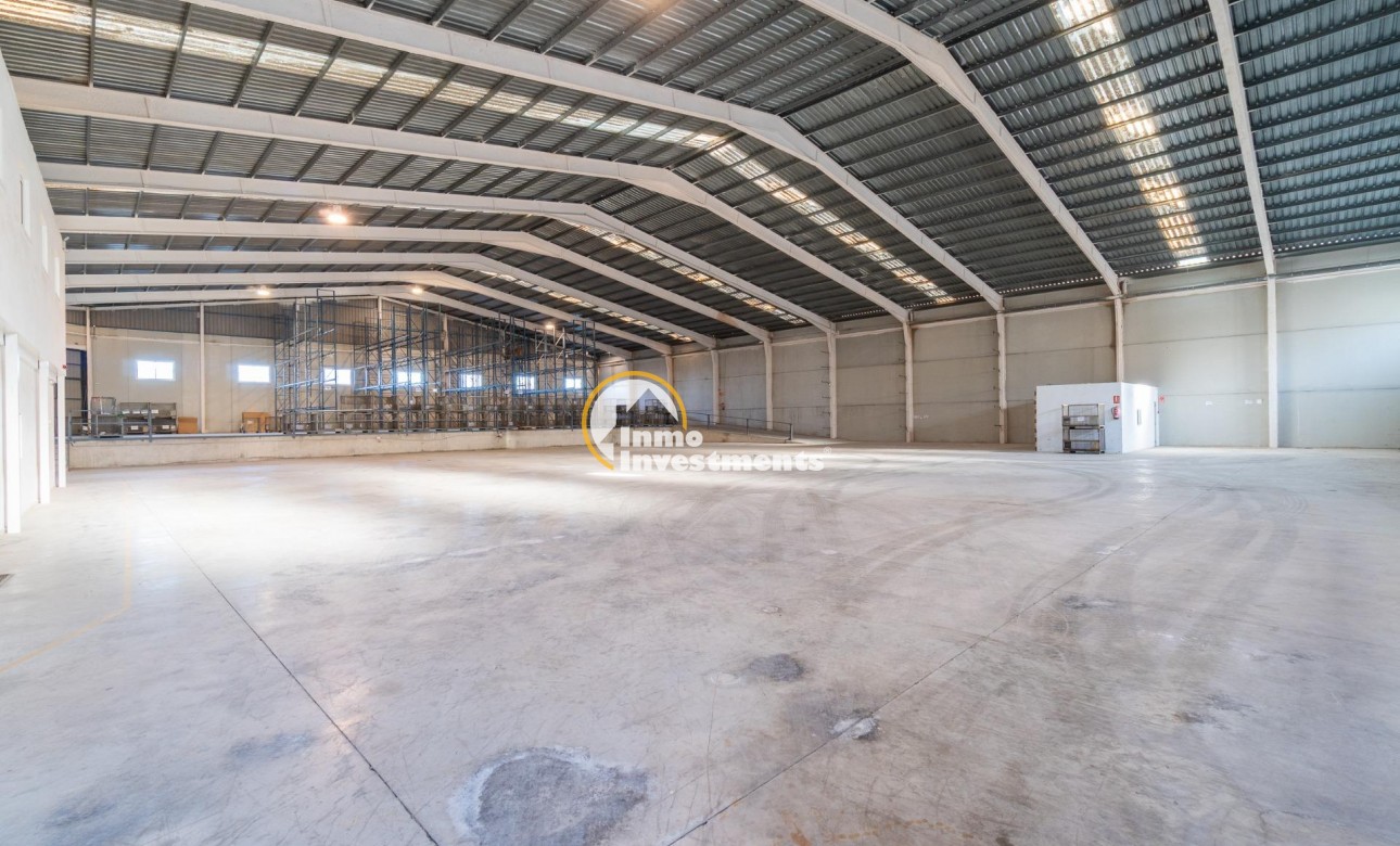 Long term rental - Commercial - Pilar de la Horadada - Polígono industrial Cañada de Práez