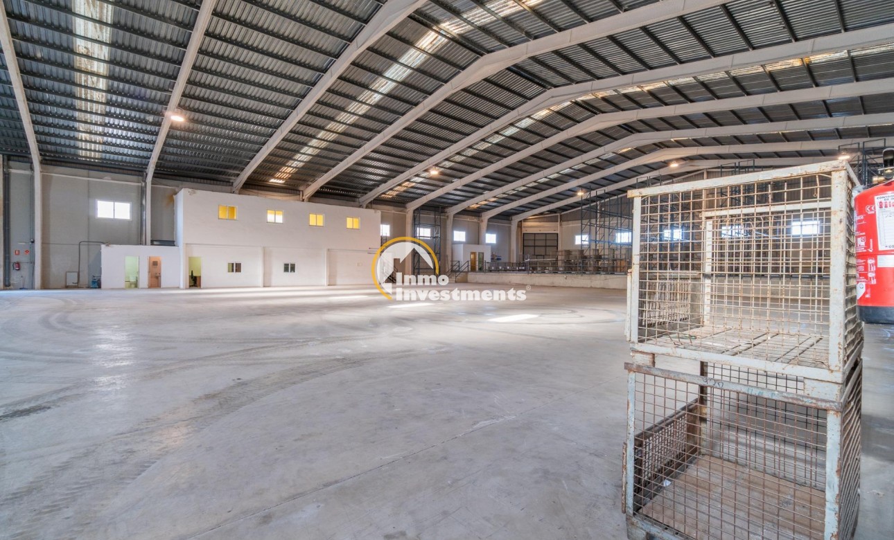 Long term rental - Commercial - Pilar de la Horadada - Polígono industrial Cañada de Práez