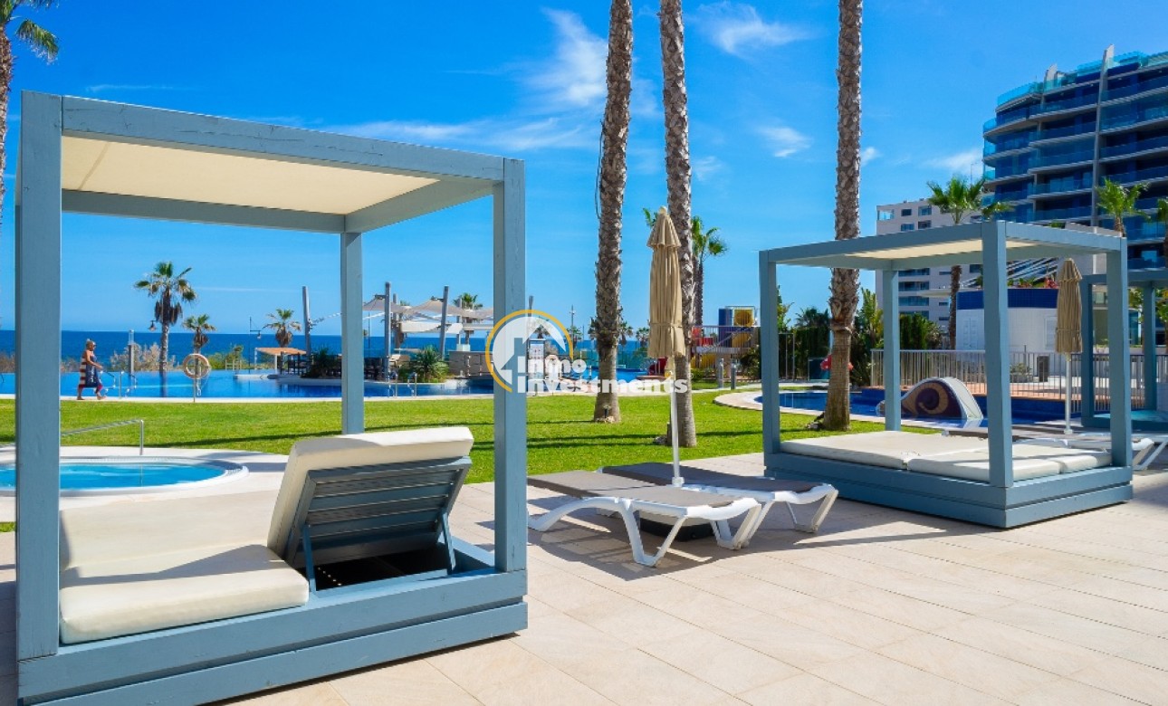 Gebrauchtimmobilien - Penthouse - Punta Prima - Strandseite