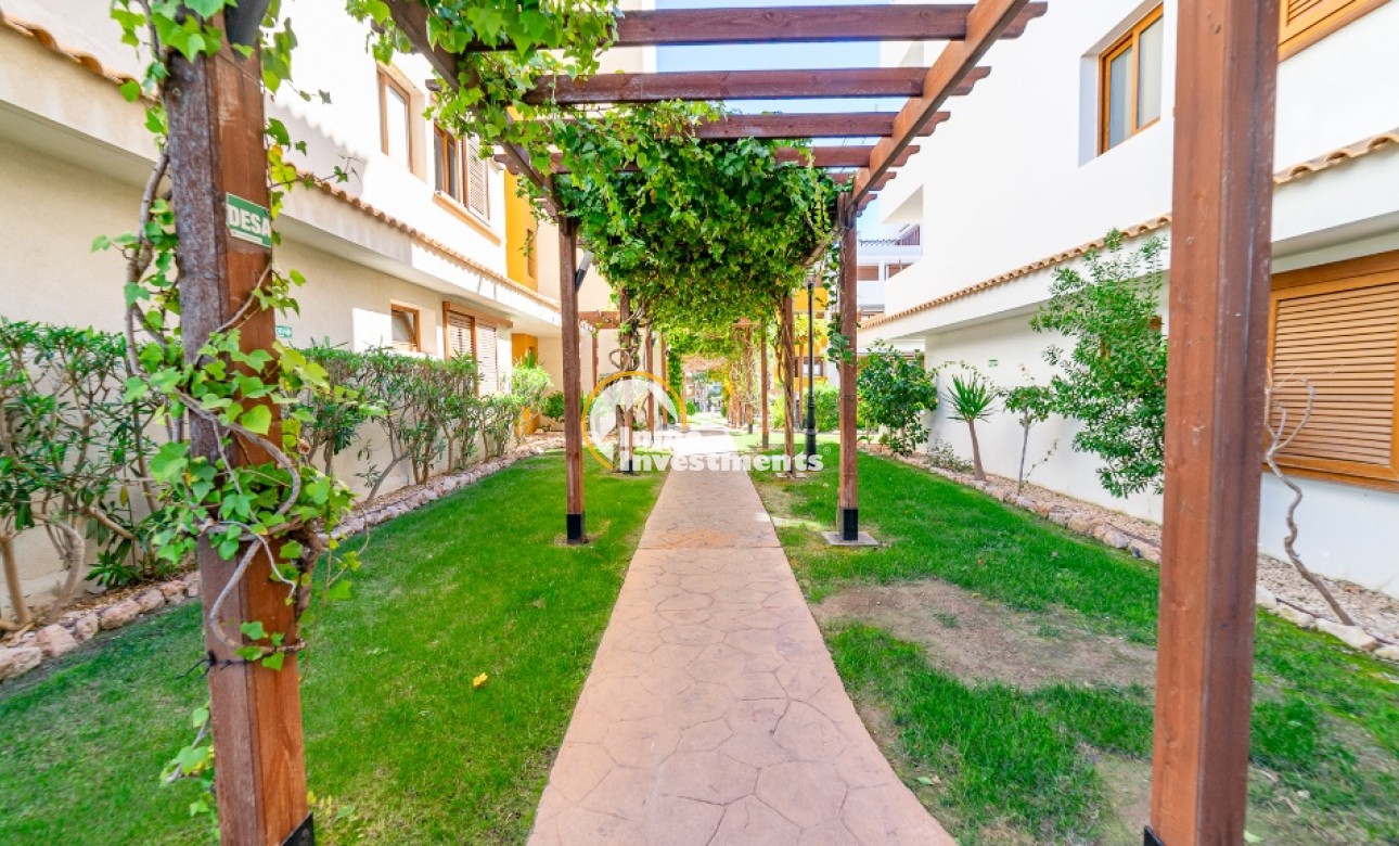 Till salu - Lägenhet - Punta Prima - Beachside