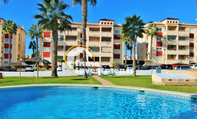 Bestaande bouw - Appartement - Playa Flamenca - 