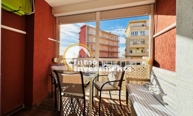  - Apartamento - La Mata - Puerto Romano