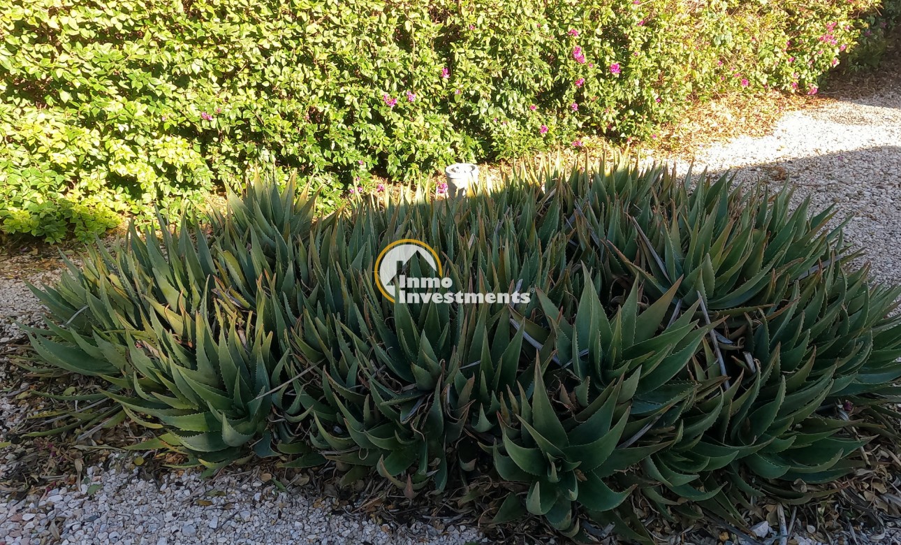 Gebrauchtimmobilien - Finca - Orihuela - Orihuela Stadt