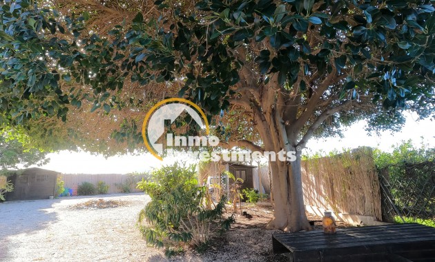 Gebrauchtimmobilien - Finca - Orihuela - Orihuela Stadt