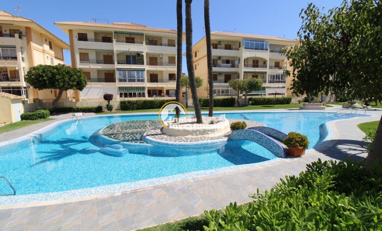 Communal Pool and complex