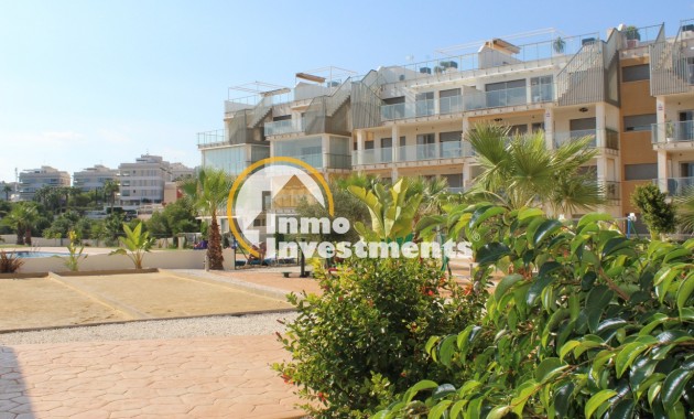 Gebrauchtimmobilien - Apartment - Los Dolses