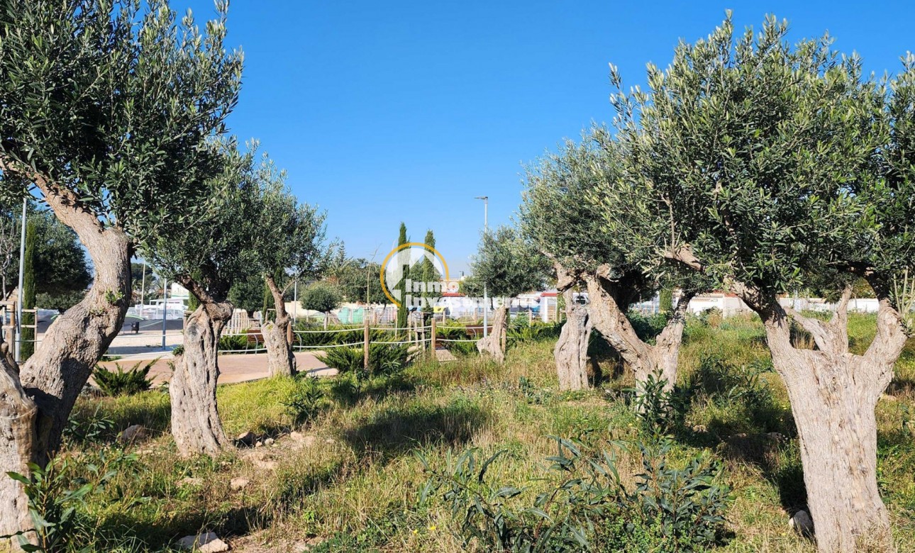 Gebrauchtimmobilien - Reihenhaus - Torrevieja