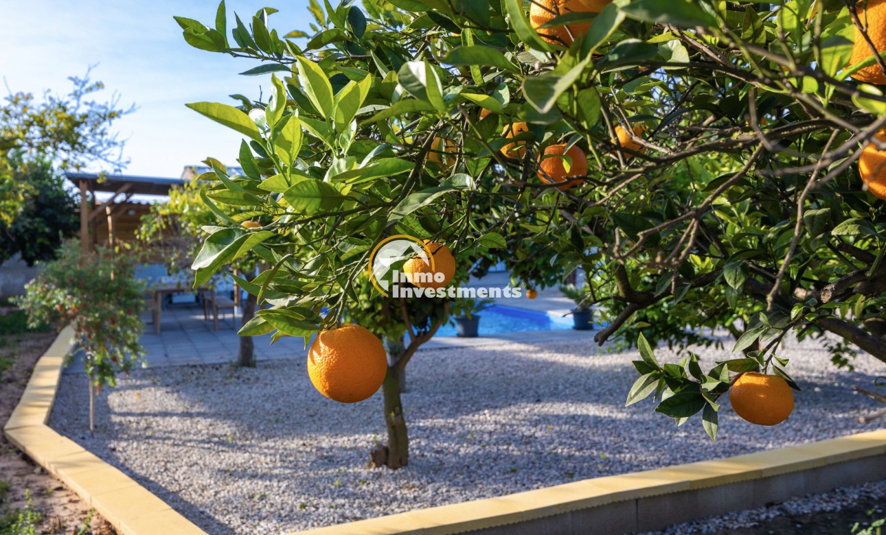 Gebrauchtimmobilien - Villa - Los Montesinos