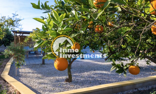 Gebrauchtimmobilien - Villa - Los Montesinos