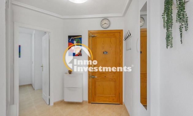 Gebrauchtimmobilien - Penthouse - Torrevieja - Estacion de autobuses