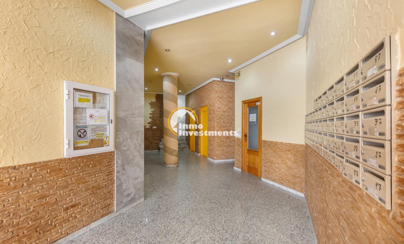 Gebrauchtimmobilien - Penthouse - Torrevieja - Estacion de autobuses