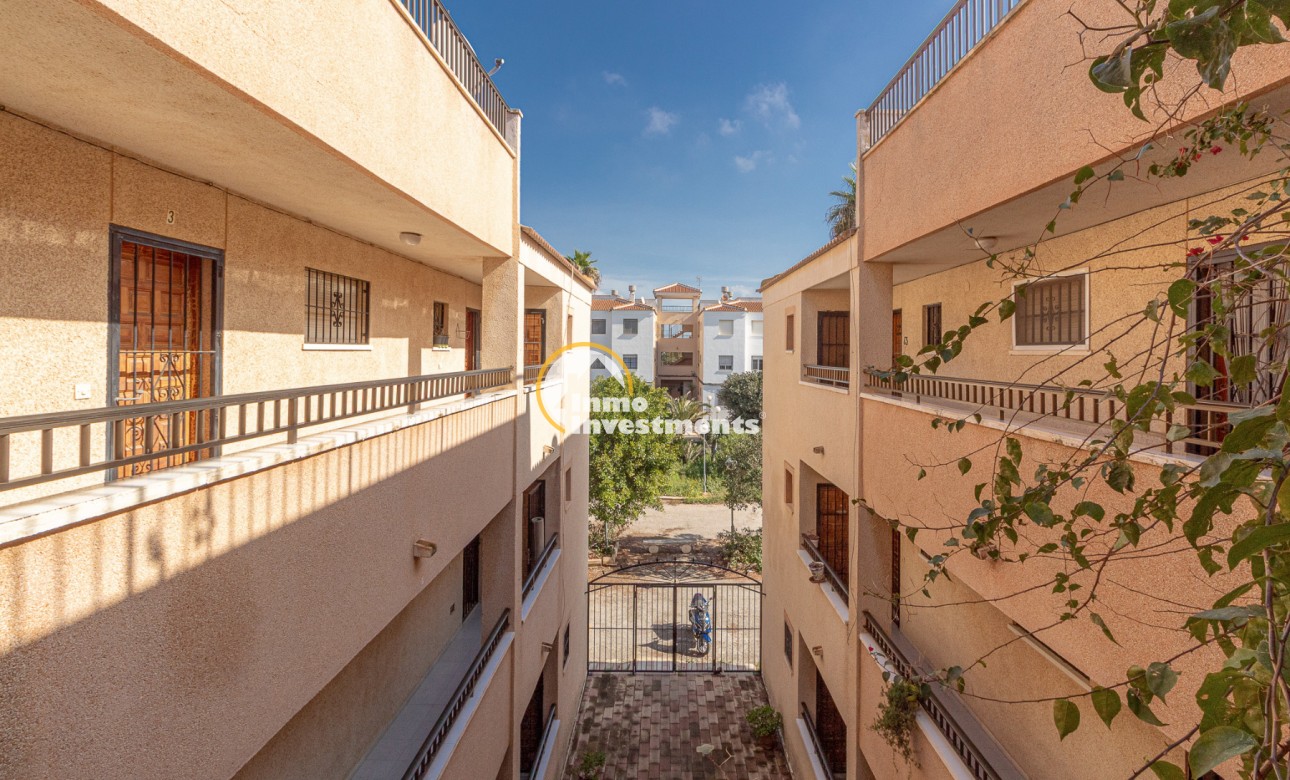 Gebrauchtimmobilien - Studio - Torrevieja - San Luis