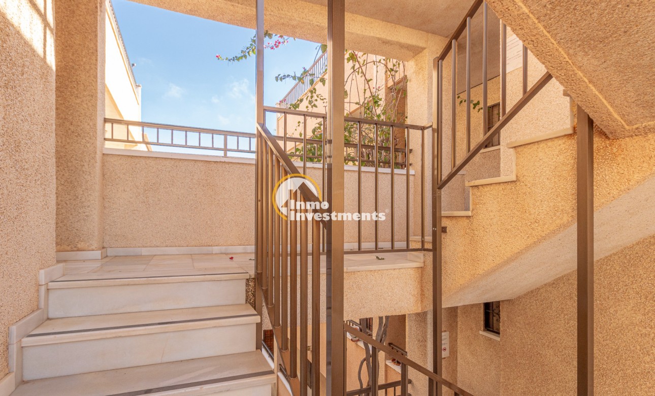 Gebrauchtimmobilien - Studio - Torrevieja - San Luis