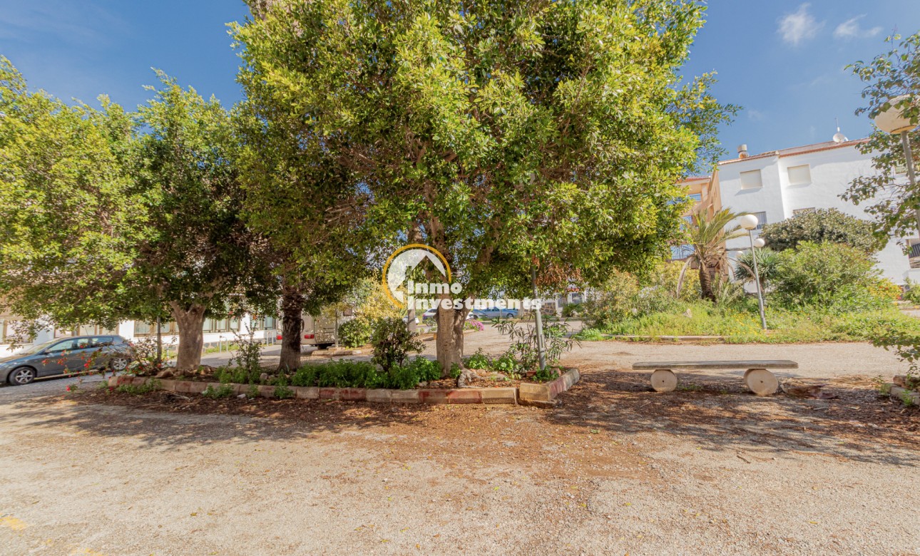 Gebrauchtimmobilien - Studio - Torrevieja - San Luis