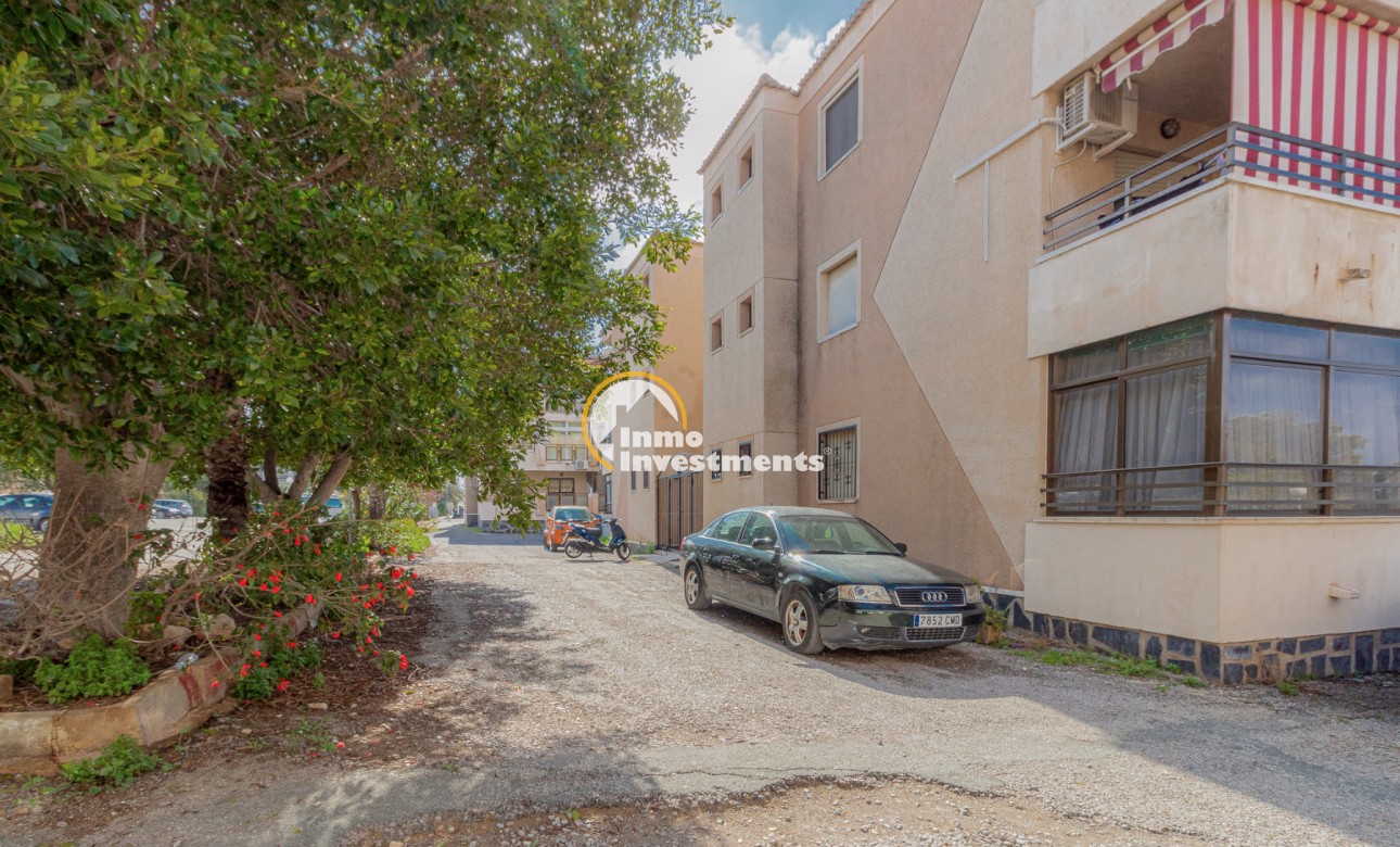 Gebrauchtimmobilien - Studio - Torrevieja - San Luis