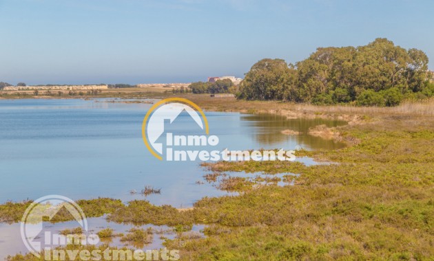 Gebrauchtimmobilien - Studio - Torrevieja - San Luis