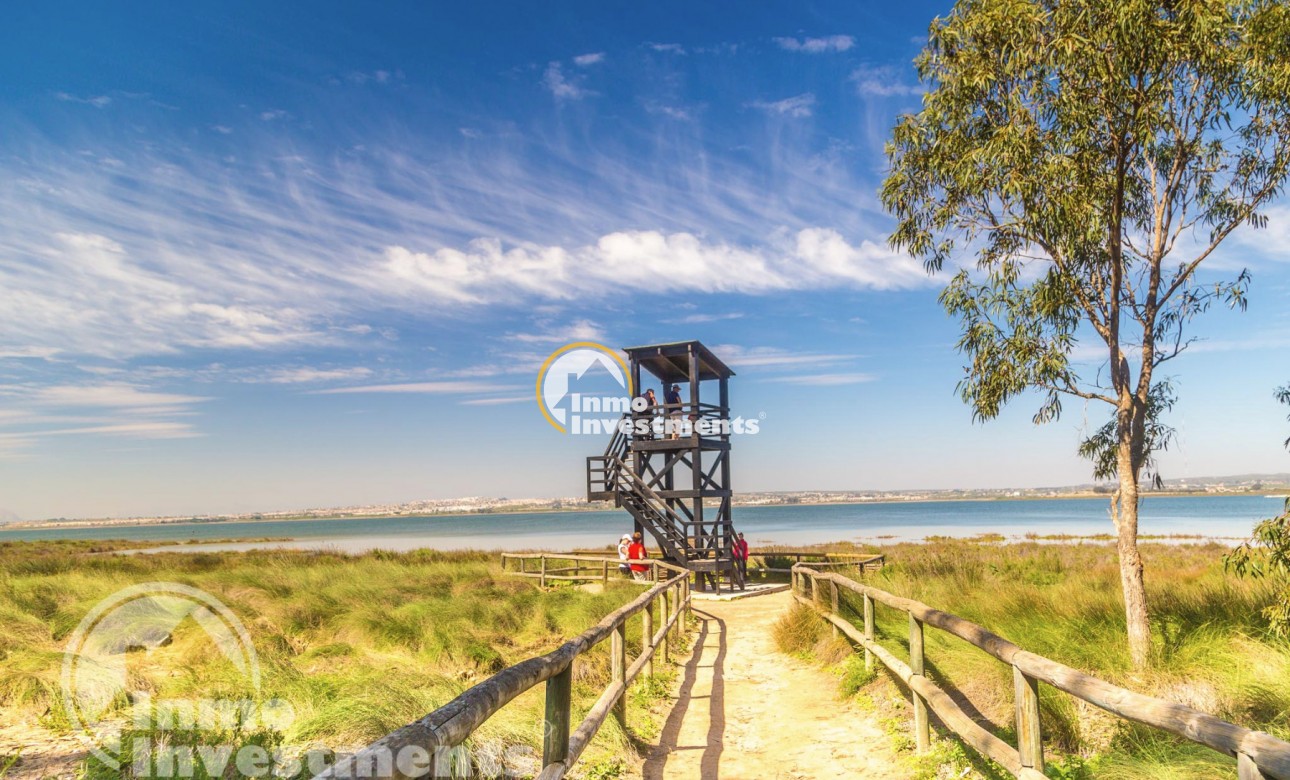 Gebrauchtimmobilien - Studio - Torrevieja - San Luis