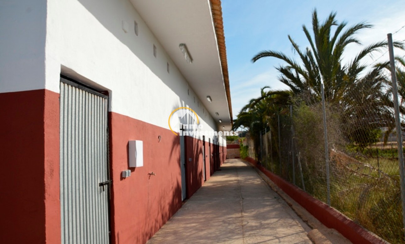 Revente privée - Finca - San Miguel de Salinas - San Miguel De Salinas