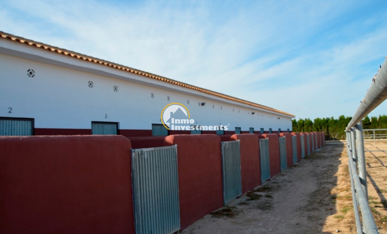 Revente privée - Finca - San Miguel de Salinas - San Miguel De Salinas