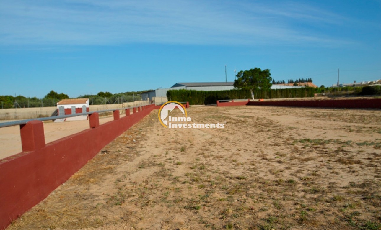 Revente privée - Finca - San Miguel de Salinas - San Miguel De Salinas