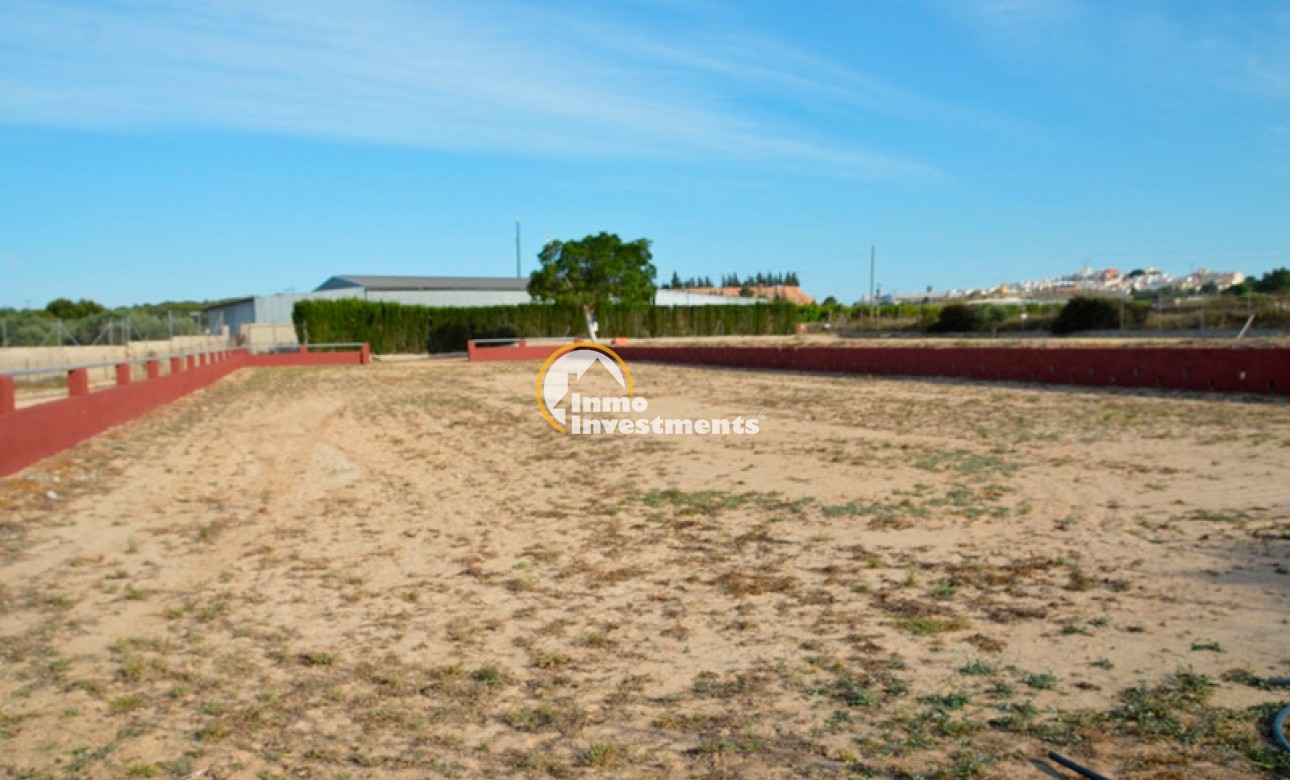 Revente privée - Finca - San Miguel de Salinas - San Miguel De Salinas