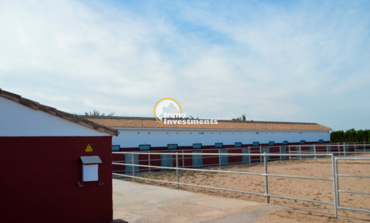 Revente privée - Finca - San Miguel de Salinas - San Miguel De Salinas