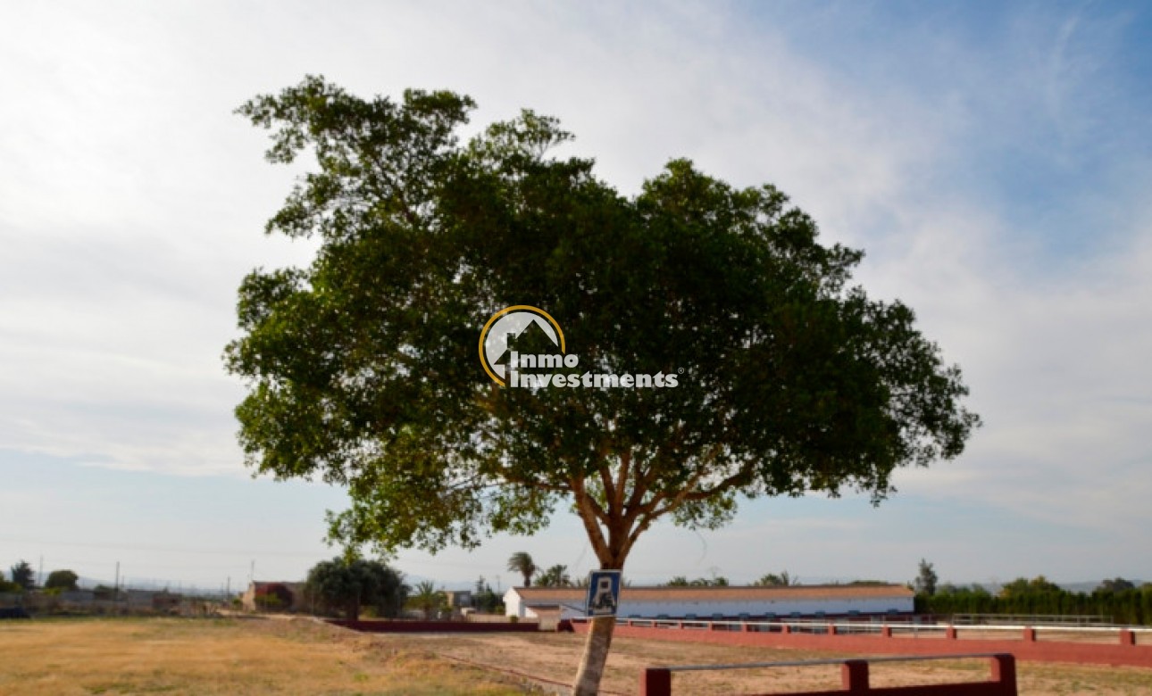 Revente privée - Finca - San Miguel de Salinas - San Miguel De Salinas