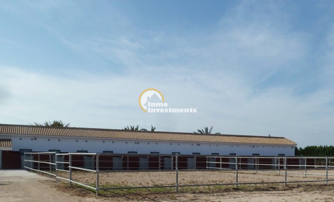 Revente privée - Finca - San Miguel de Salinas - San Miguel De Salinas