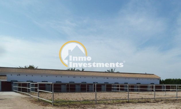 Revente privée - Finca - San Miguel de Salinas - San Miguel De Salinas