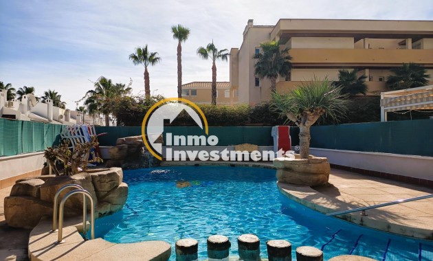 Gebrauchtimmobilien - Penthouse - Cabo Roig - Aguamarina