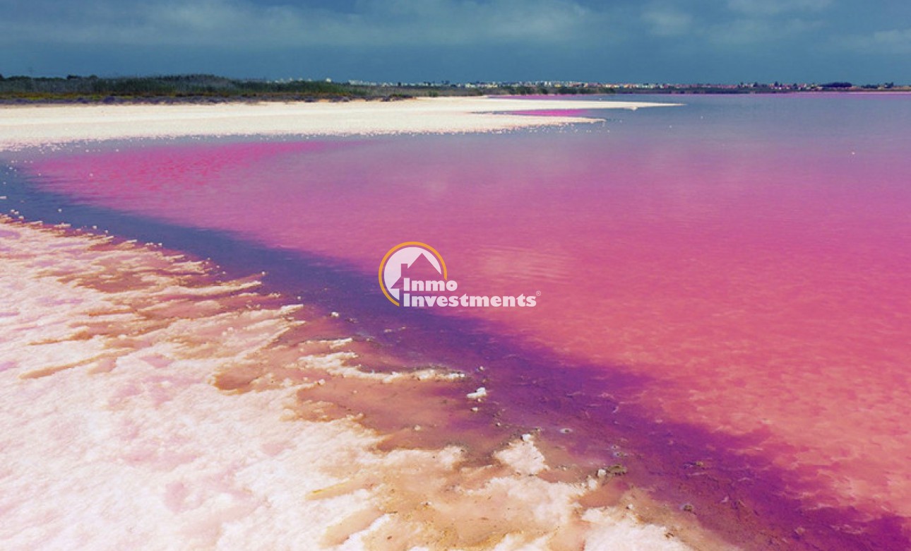 Obra nueva - Apartamento - Los Balcones