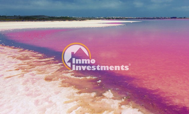 Nyproduktion - Lägenhet - Los Balcones