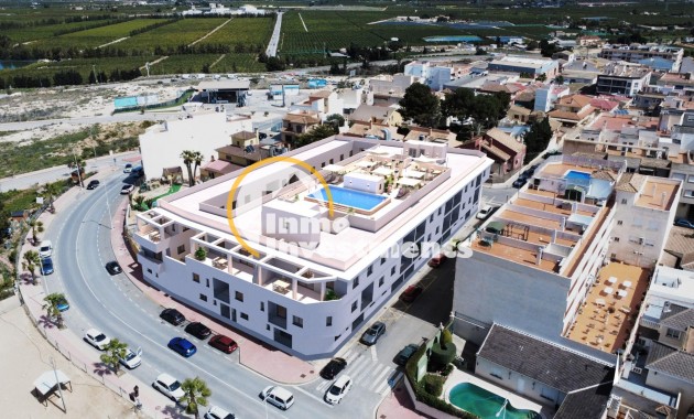 Nouvelle Construction - Bungalow - San Miguel de Salinas - CENTRO URBANO