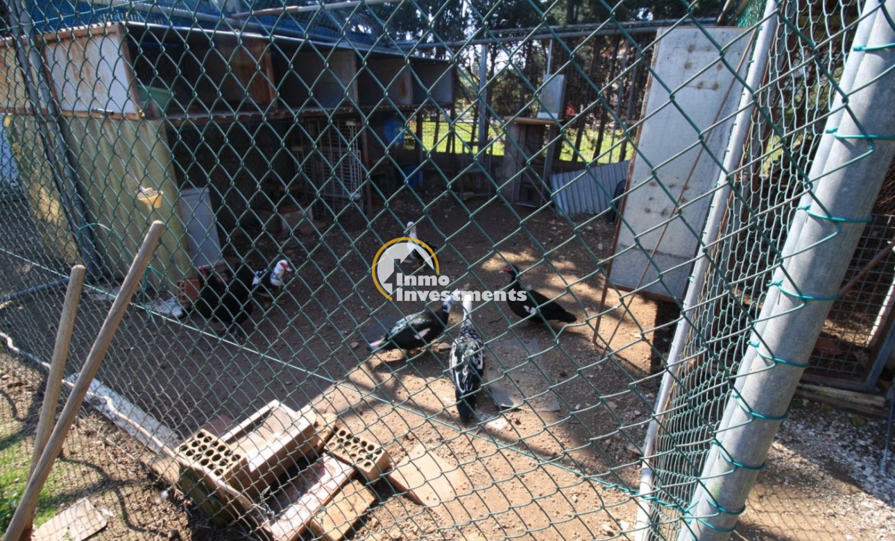 Reventa - Chalet independiente - Campoamor - Lomas de Don Juan