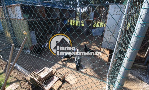 Reventa - Chalet independiente - Campoamor - Lomas de Don Juan