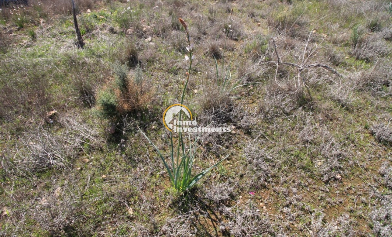 Reventa - Chalet independiente - Campoamor - Lomas de Don Juan